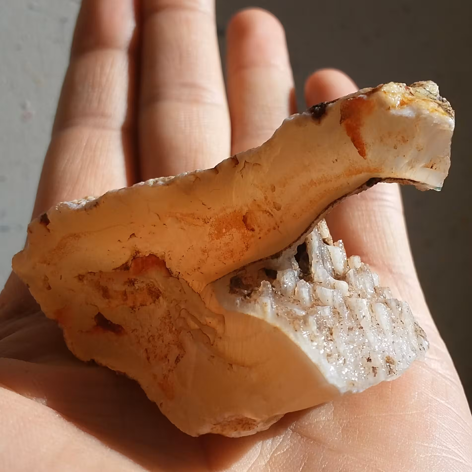 سنگ راف عقیق عسلی محشر دو طرفه
100 در صد طبیعی شاهکار خلقت
با قابلیت ساخت چند نگین بینظیر
