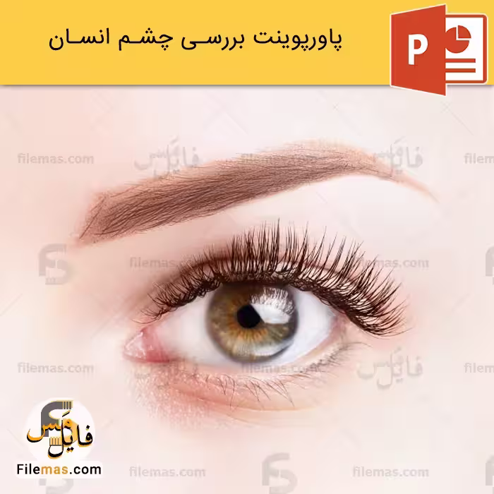 پاورپوینت چشم انسان