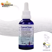 ضد سیانو باکتر آکواریوم سیانو کلین کورالن زاخت