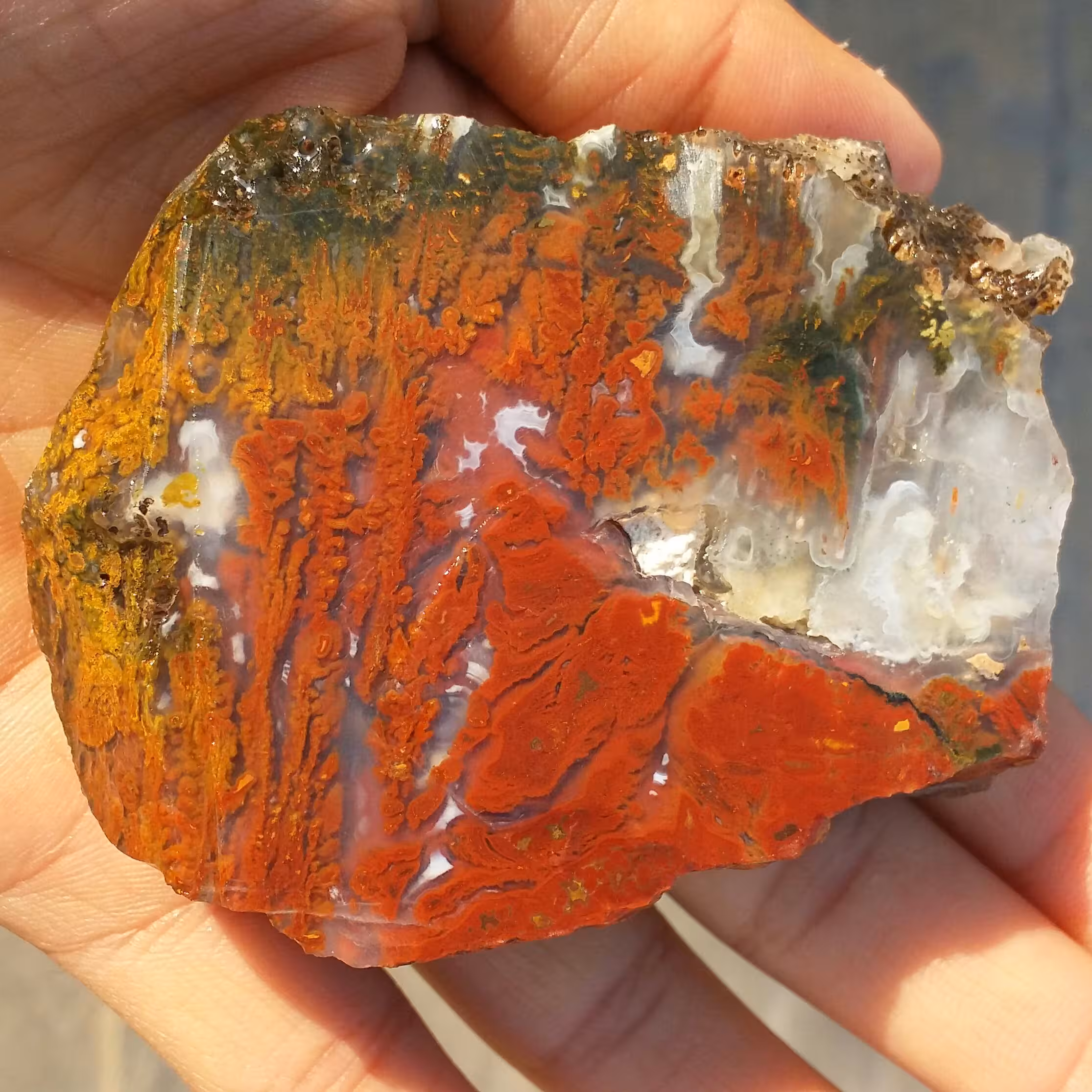 اسلایس سنگ راف عقیق شجر منظره 7رنگ بسیااار دیدنی شاهکار خلقت کاملا طبیعی
با قابلیت ساخت چند نگین دیدنی و محشر
کد 7993