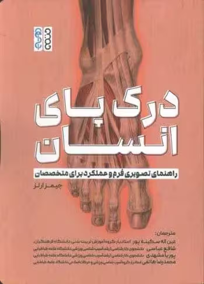درک پای انسان (راهنمای تصویری فرم و عملکرد برای متخصصان)