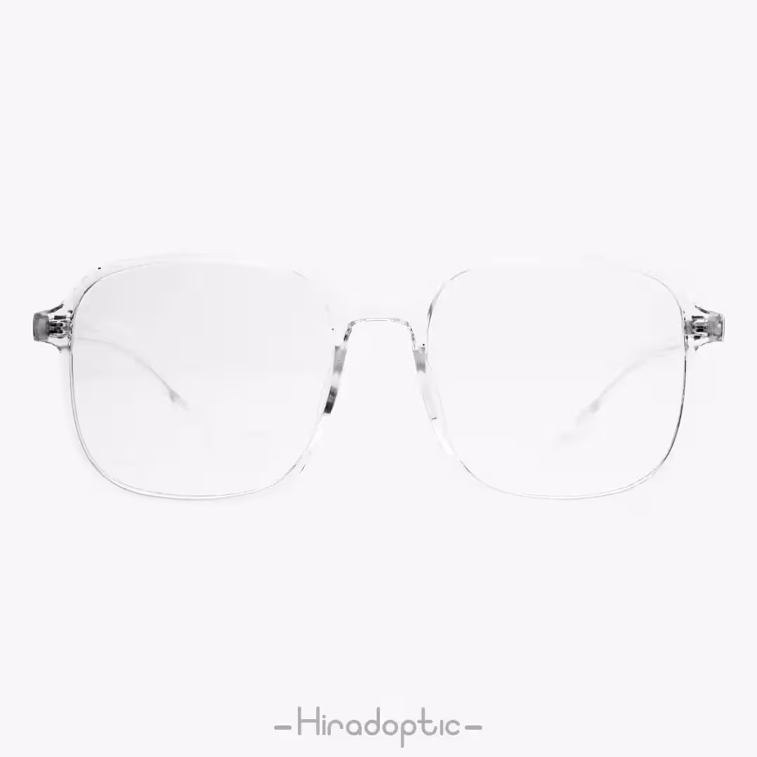 عینک کار با کامپیوتر JH051