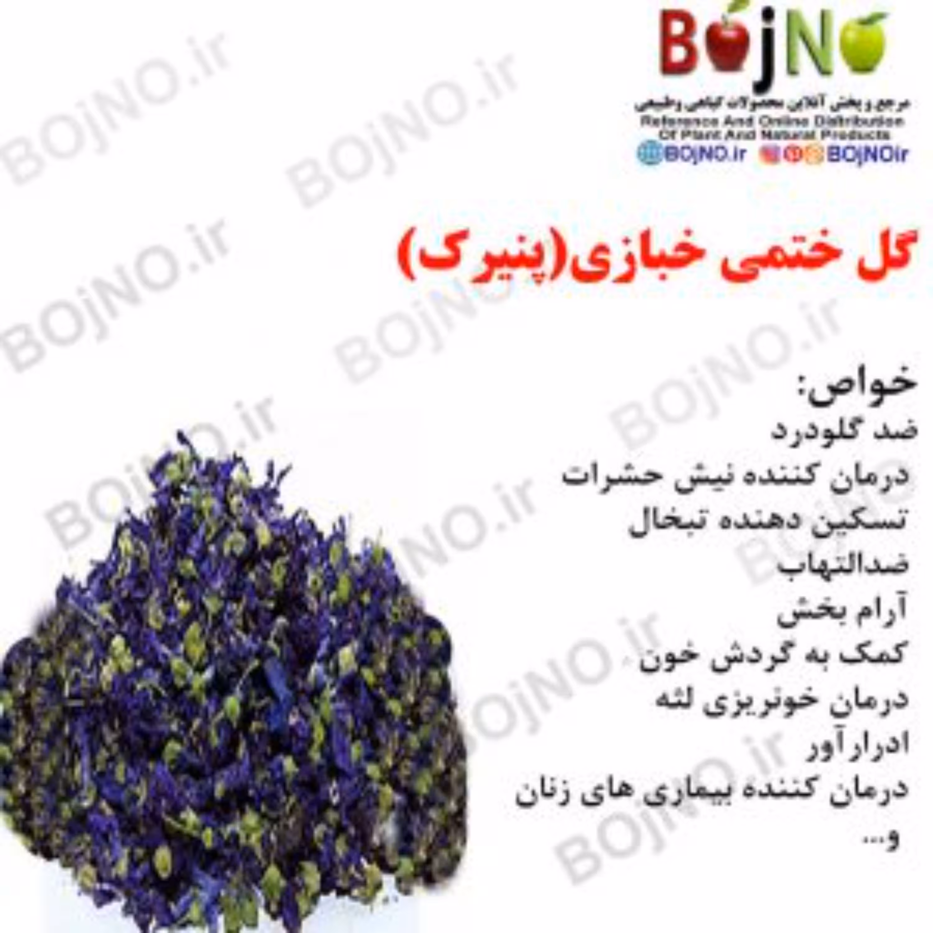 گل ختمی خبازی(پنیرک) (بسته 50گرمی)