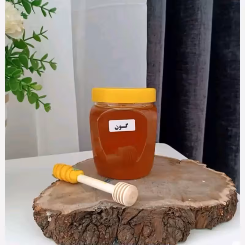 عسل گون طبیعی کوهستان (500 گرمی ) | amazonchi