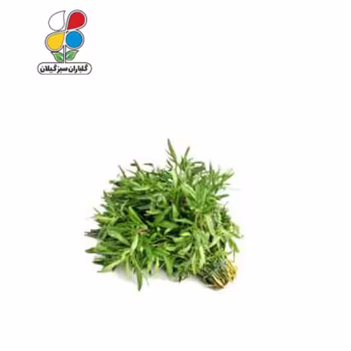 بذر مرزه بسته سه عددی