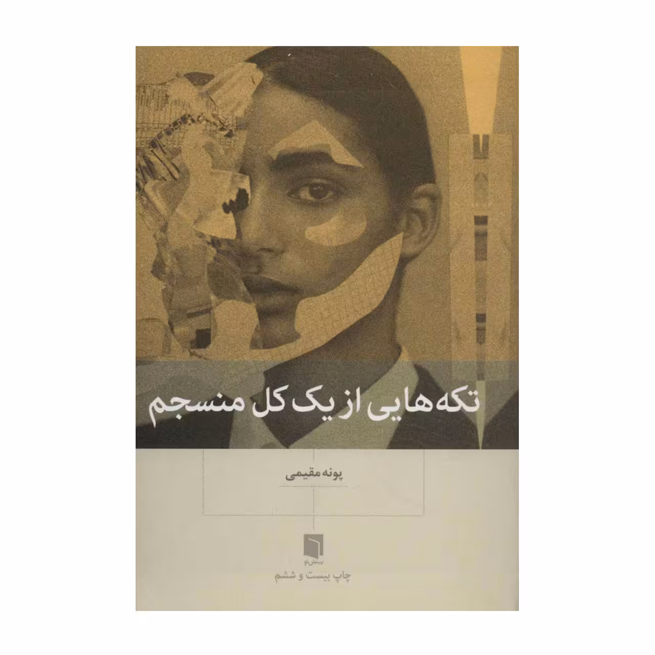 کتاب تکه هایی از یک کل منسجم اثر پونه مقیمی