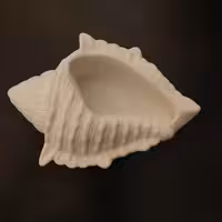 قالب  سیلیکونی مدل گوش ماهی سایز بزرگ