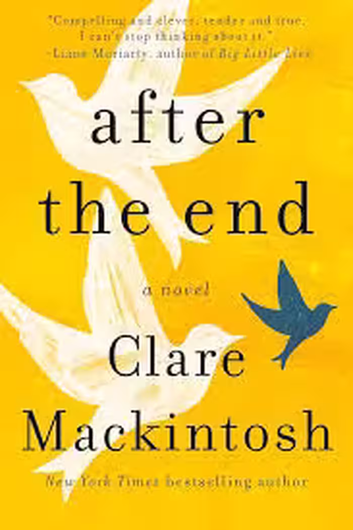 after the end clare mackintosh