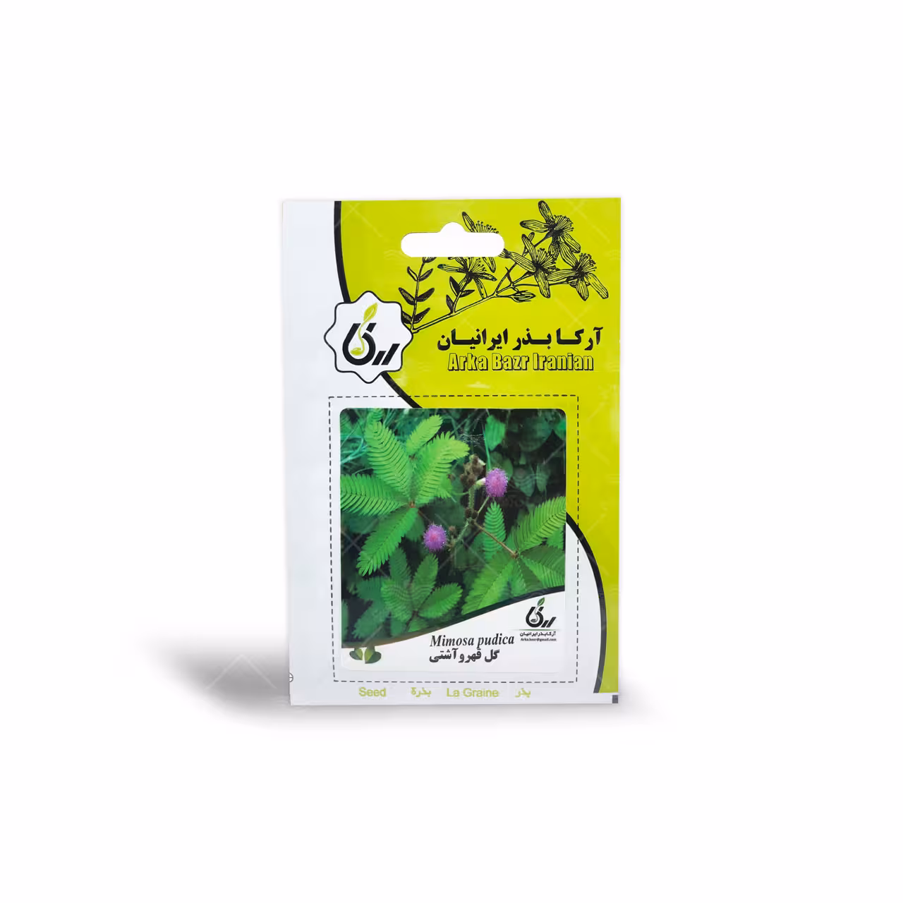 بذر گل قهر و آشتی آرکا بذر ایرانیان