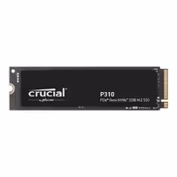 اس اس دی اینترنال کروشیال مدل P310 ظرفیت 1 ترابایت