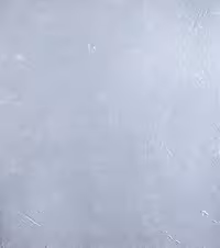 بک دراپ چوبی کد 241 (در 2 سایز)