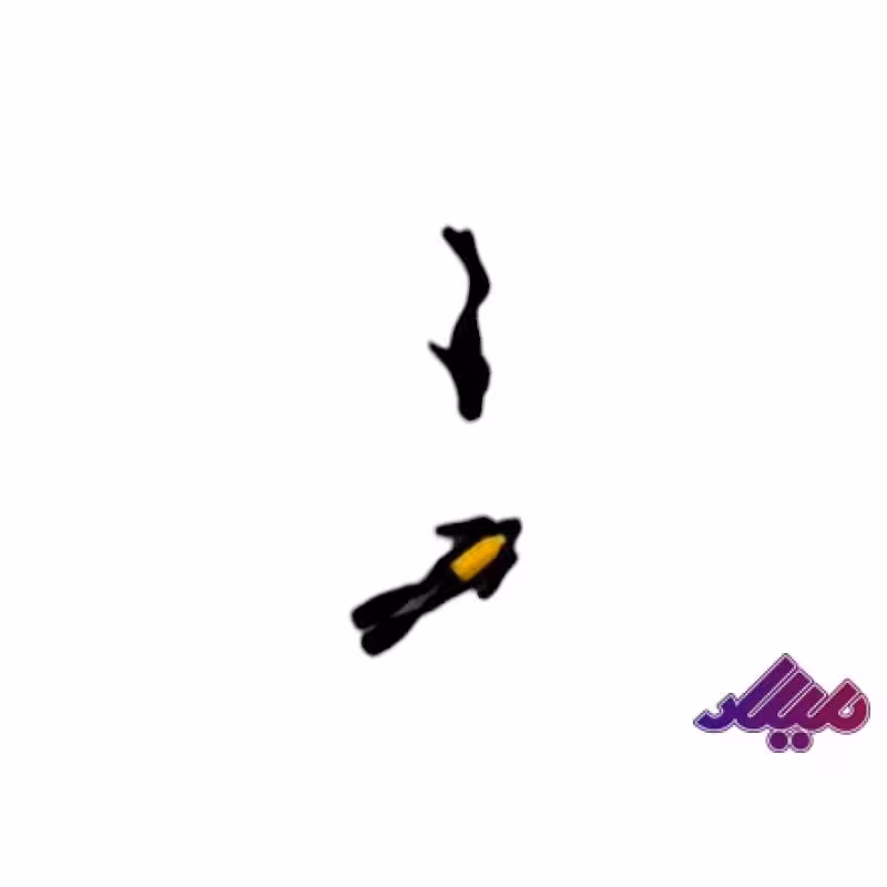 تزئینات غواص 1سانت 2عددی رندوم