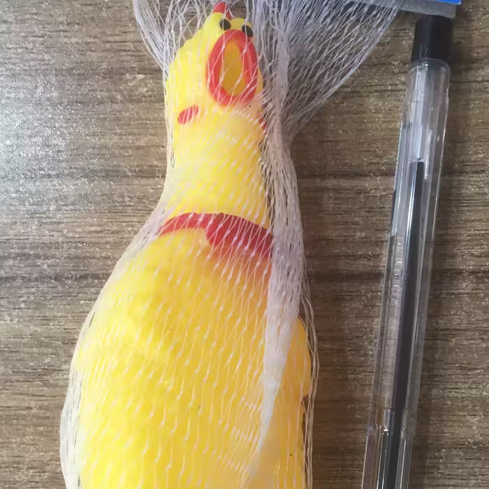 مرغ نالان کوچک