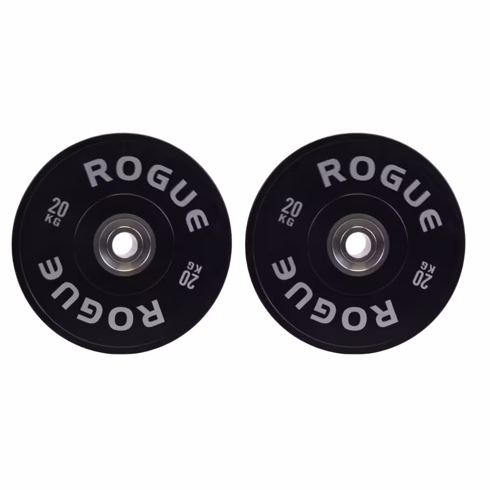 صفحه کراسفیت 20 کیلوگرمی ROGUE بسته دو عددی