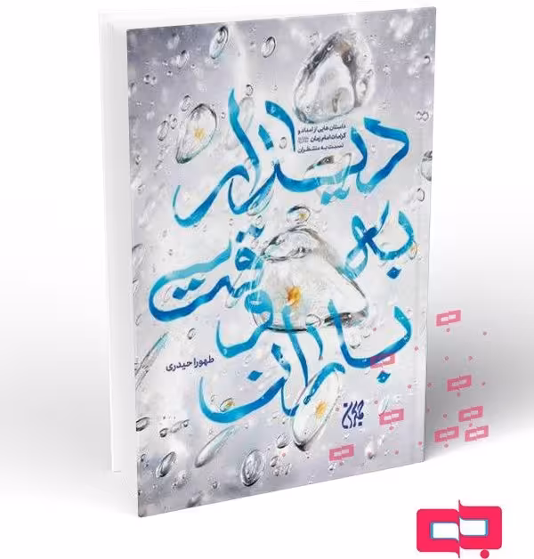 دیدار به وقت باران