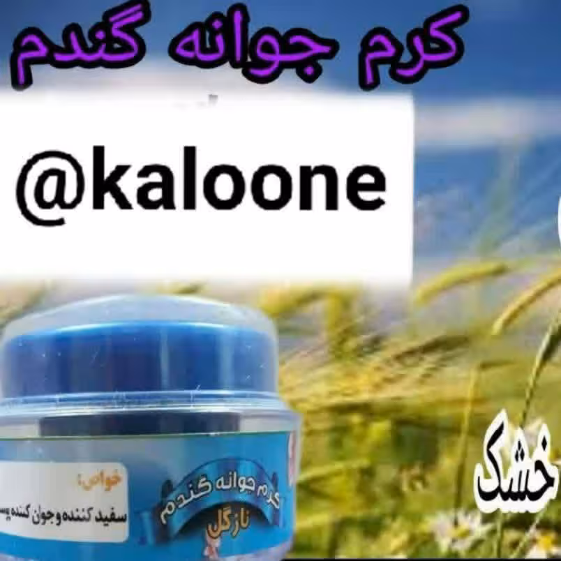 کرم جوانه گندم