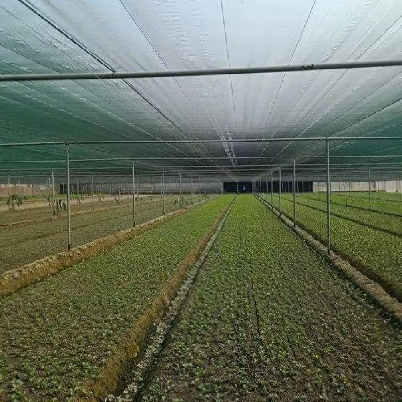 شید سایبان 80 درصد 5 در 6 متر دوردوزی شده همراه با حلقه نصب