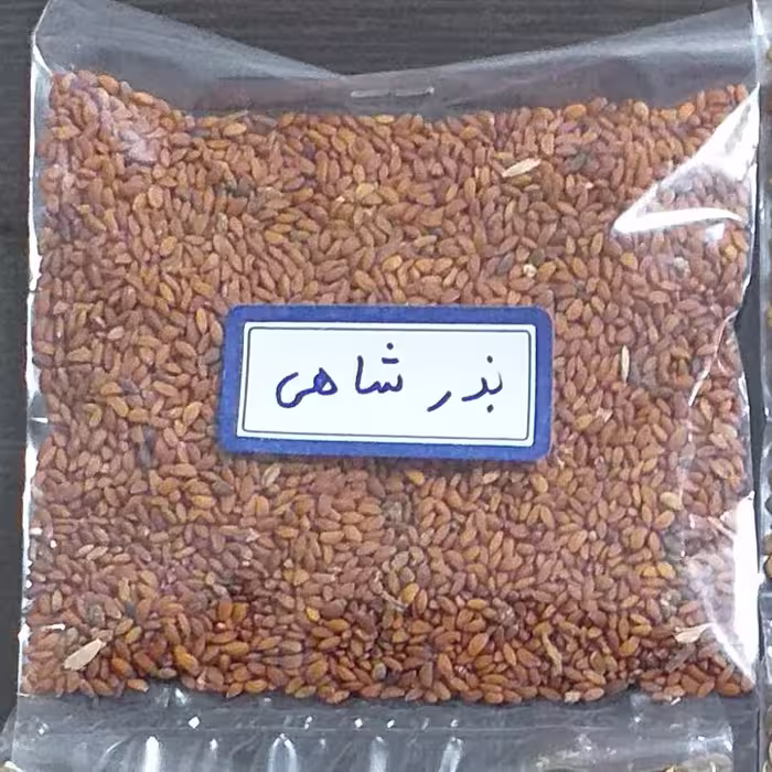 بذر  شاهی 