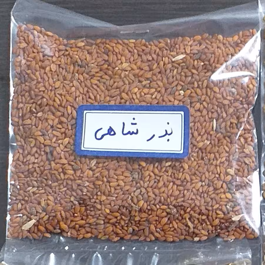 بذر  شاهی 