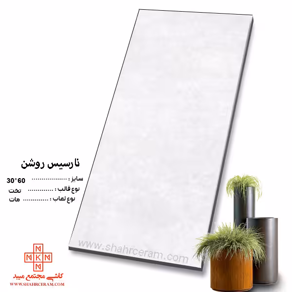 سرامیک نارسیس روشن 60*30 کاشی مجتمع