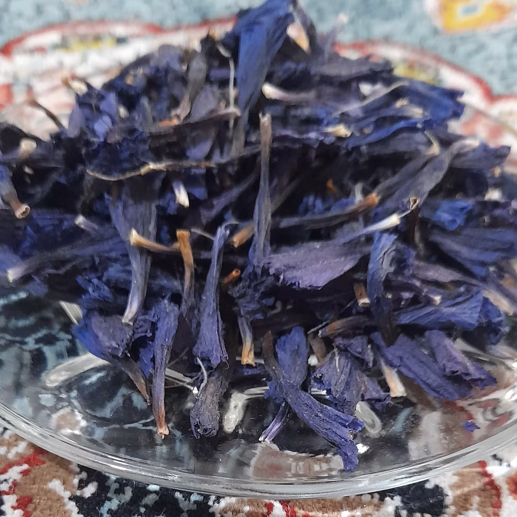 گل گاوزبان لاله زار