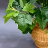 گل مصنوعی مدل بوته برگ لمسی کد 9092