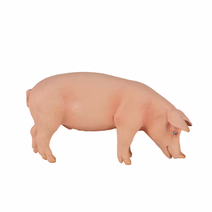 فیگور مدل خوک NR7080