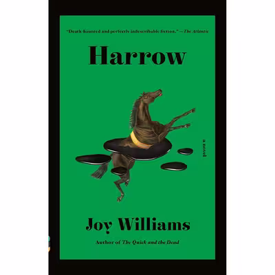 کتاب Harrow اثر Joy Williams انتشارات Vintage