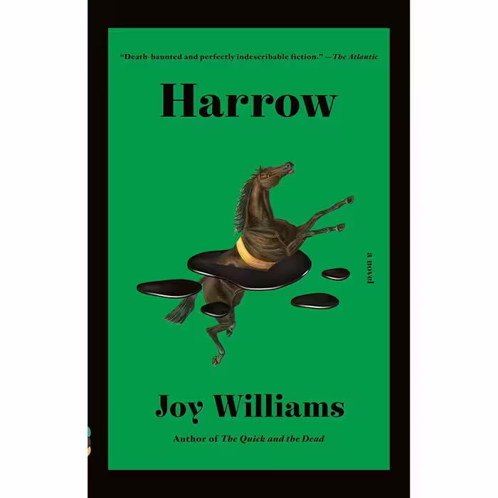 کتاب Harrow اثر Joy Williams انتشارات Vintage