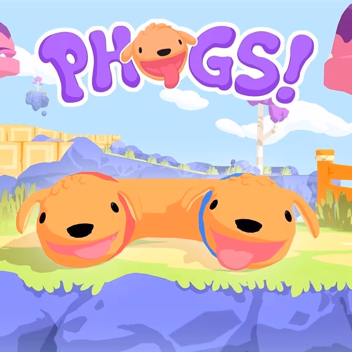 خرید اکانت بازی Phogs ظرفیت سوم PS5 با بهترین قیمت