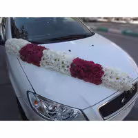 ماشین عروس طرح لوسی