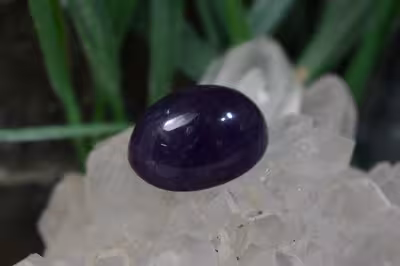 امتیست دامله(کاپوشی)