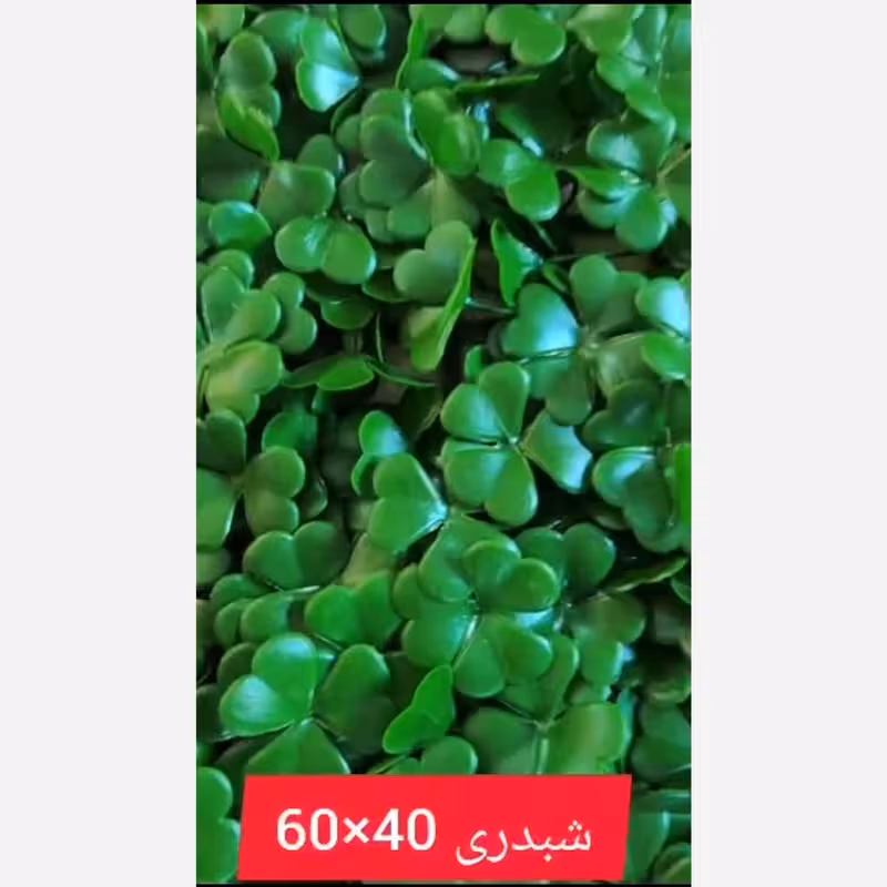 گرین وال شبدری ابعاد 40در60 cm (دیوار سبز/گرینوال)(پس کرایه)