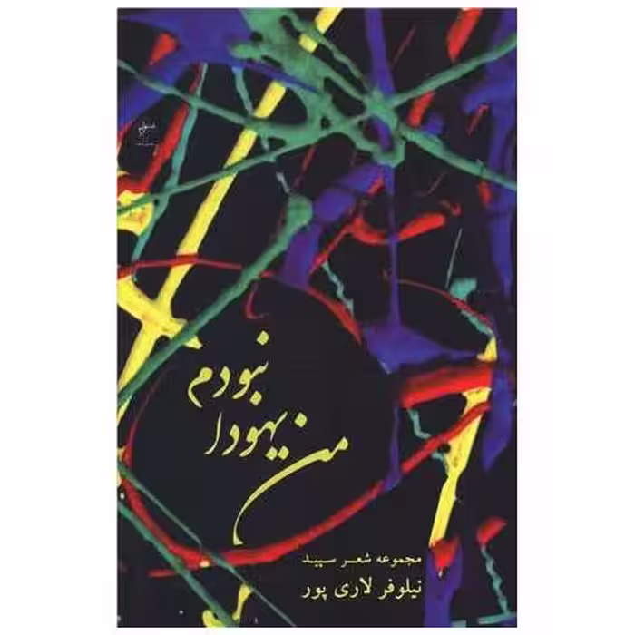 کتاب من یهودا نبودم اثر نیلوفر لاری پور
