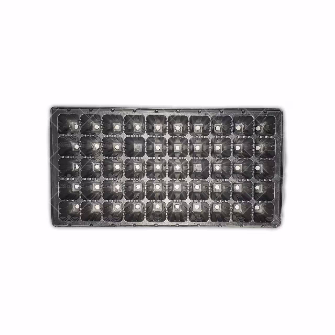 سینی نشا 50 حفره یکبار مصرف