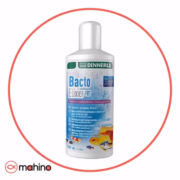 محلول باکتری زنده آکواریوم BACTO ELIXIER FB7 برند دنرله