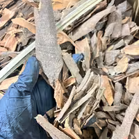 دارچین اسیابی 500 گرمی 