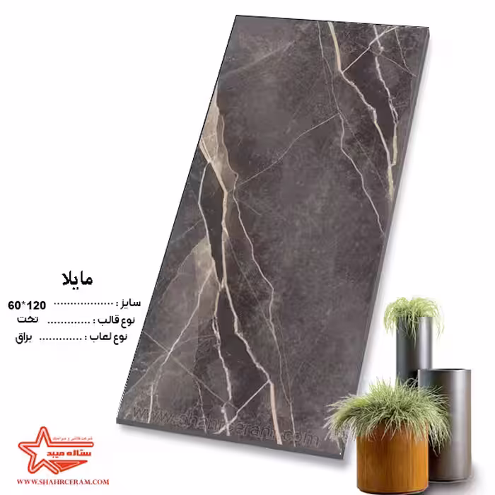 سرامیک مایلا 120*60 کاشی ستاره