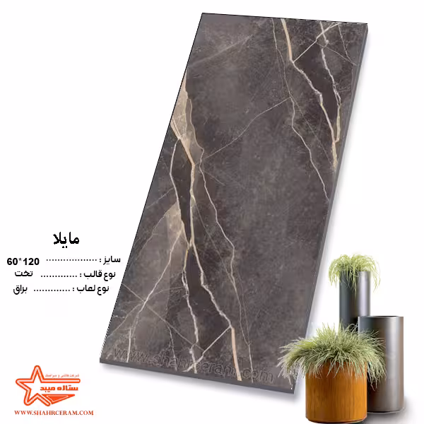 سرامیک مایلا 120*60 کاشی ستاره