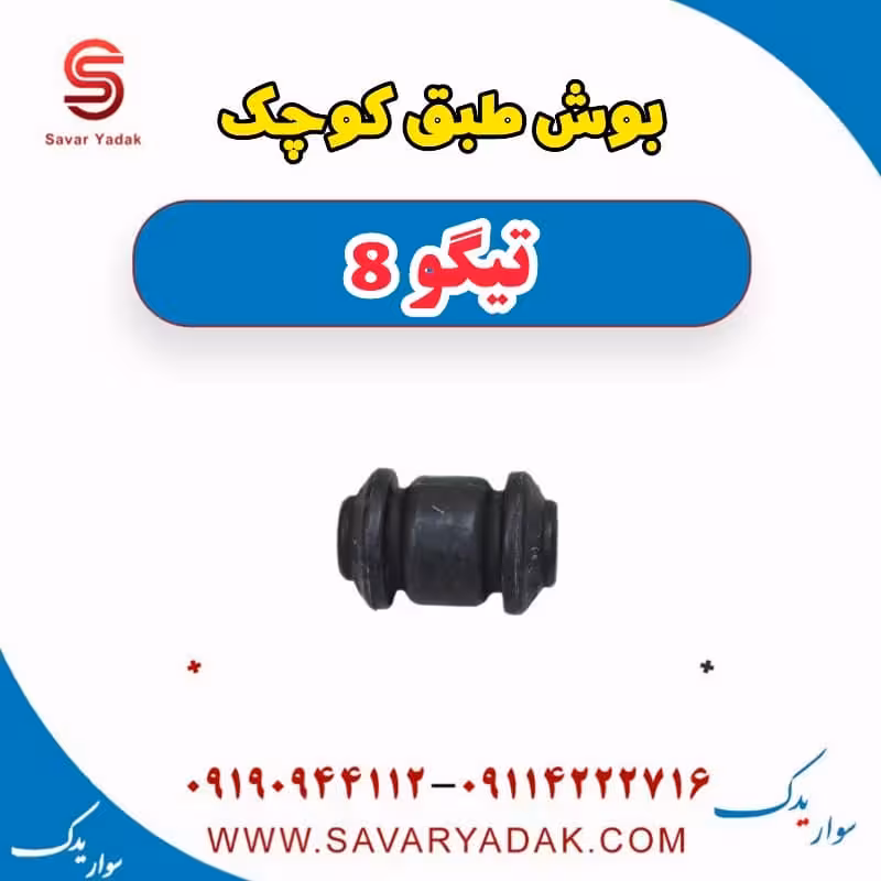 بوش طبق کوچک تیگو 8