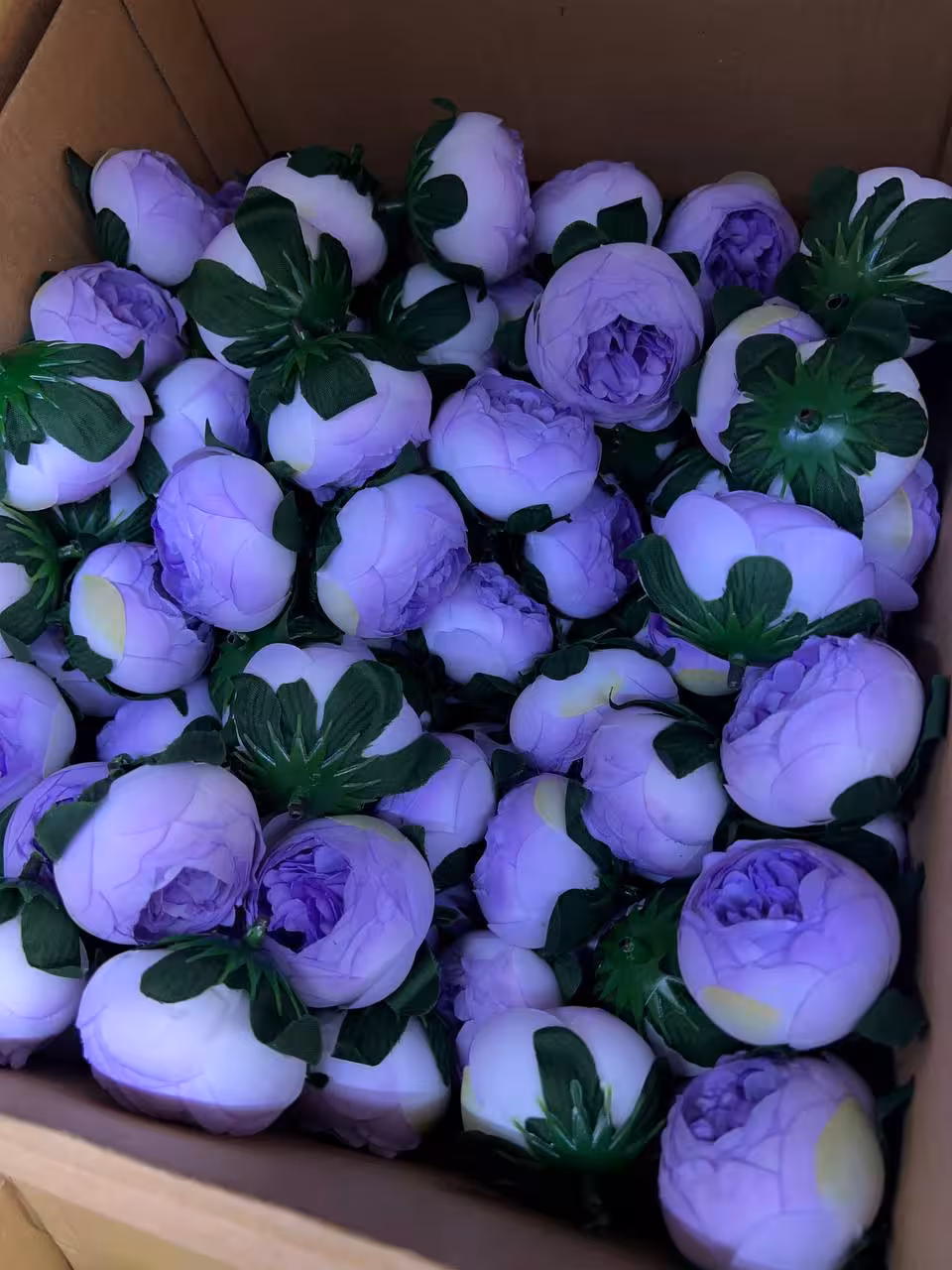 سرگل پیونی سایز متوسط رنگ بنفش دو رنگ 10 عددی