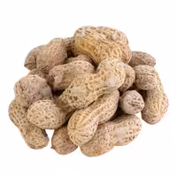 بادام زمینی غلافدار