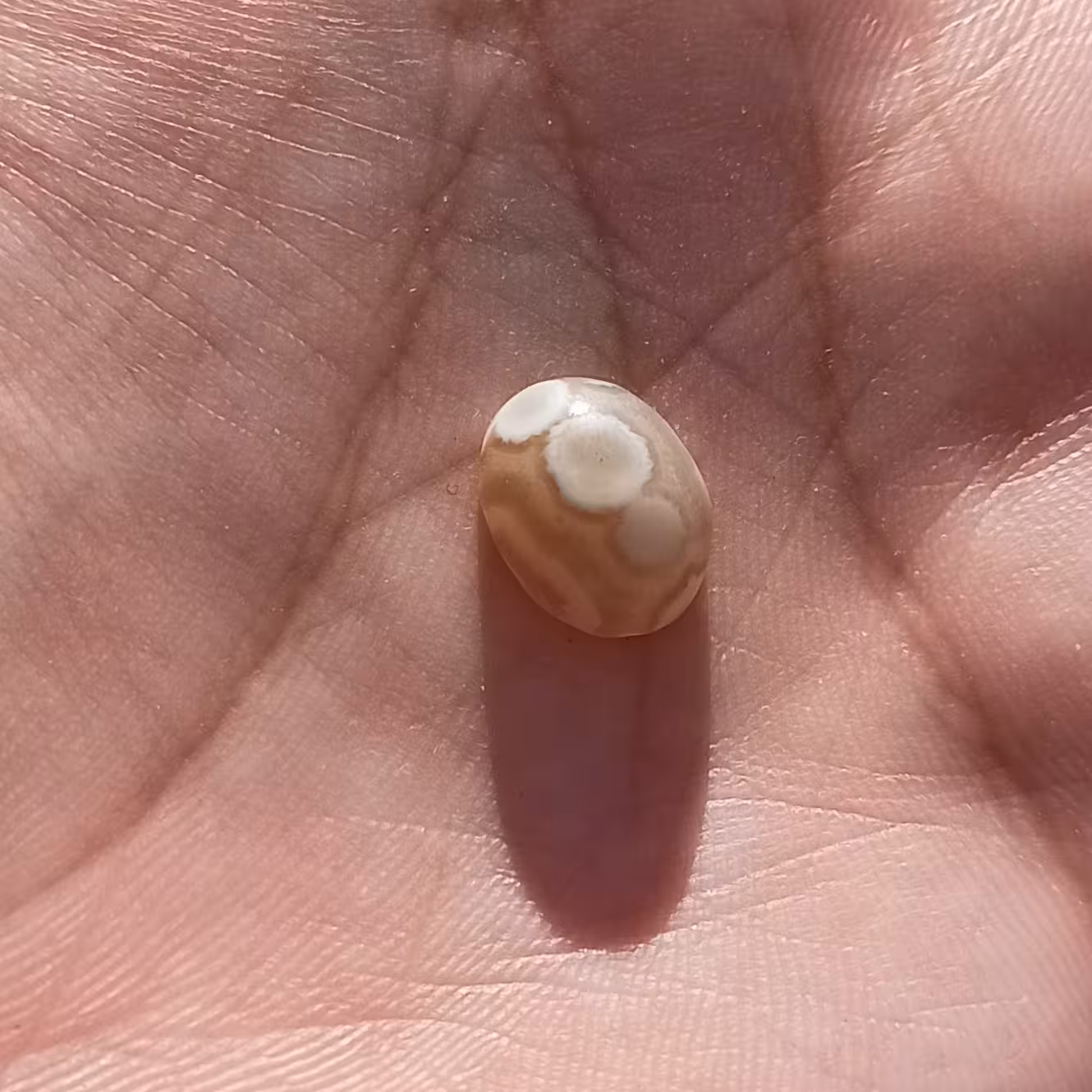 سنگ باباقوری سه چشم طبیعی اصل درجه یک زیبا