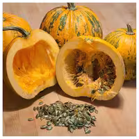 بذر کدو پوست کاغذی