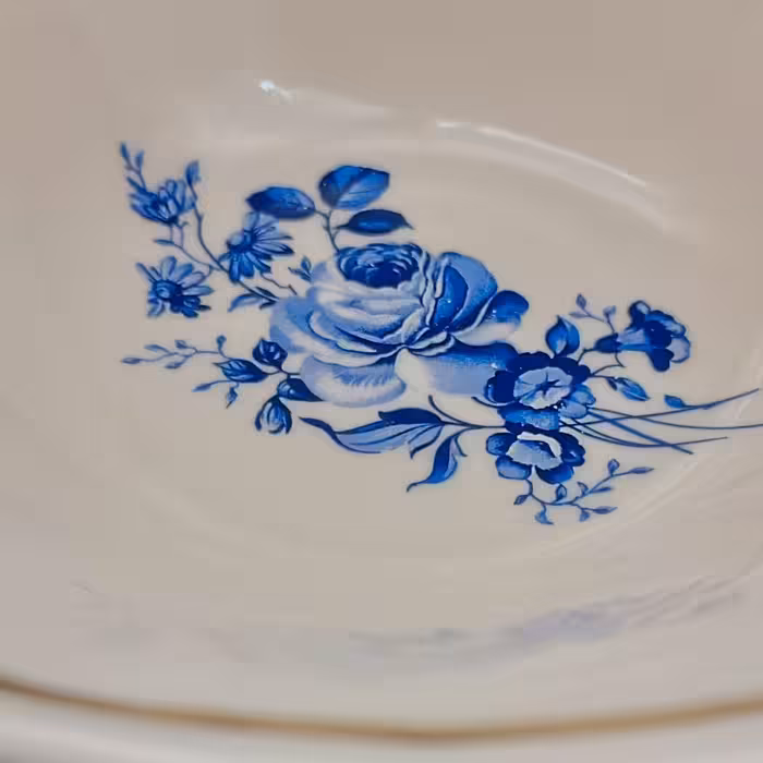 کاسه سرامیکی هیوا مدل مهتاب کد 11330141