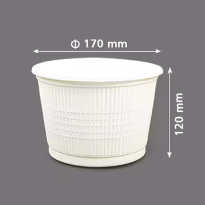 ظرف یکبار مصرف آملون مدل 1800cc بسته 10 عددی