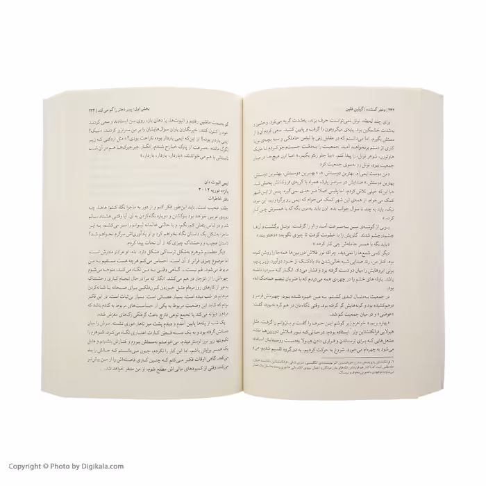 کتاب دختر گمشده اثر گیلین فلین نشر میلکان
