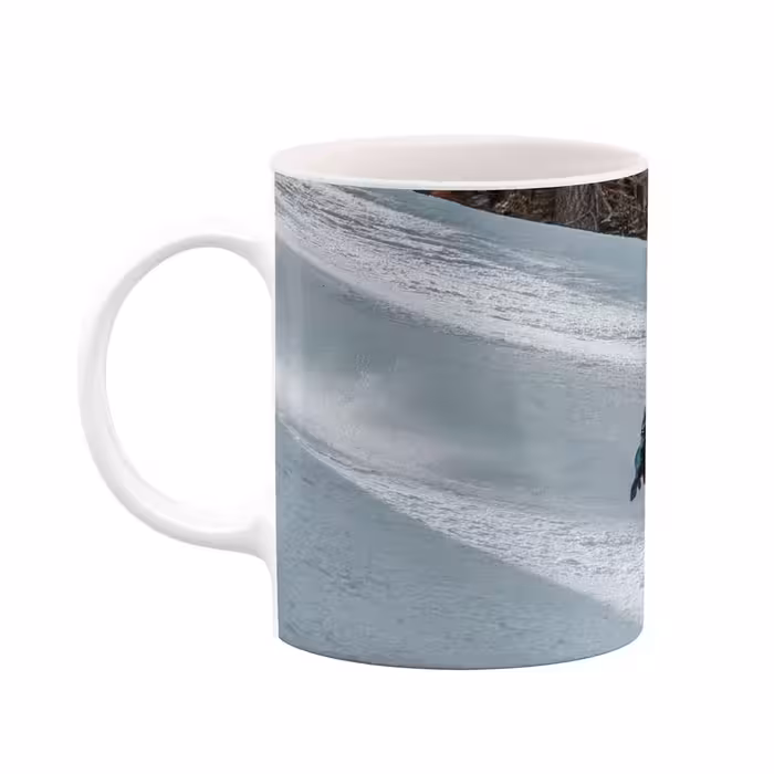 ماگ کاکتی طرح اسکی مدل mgs16652