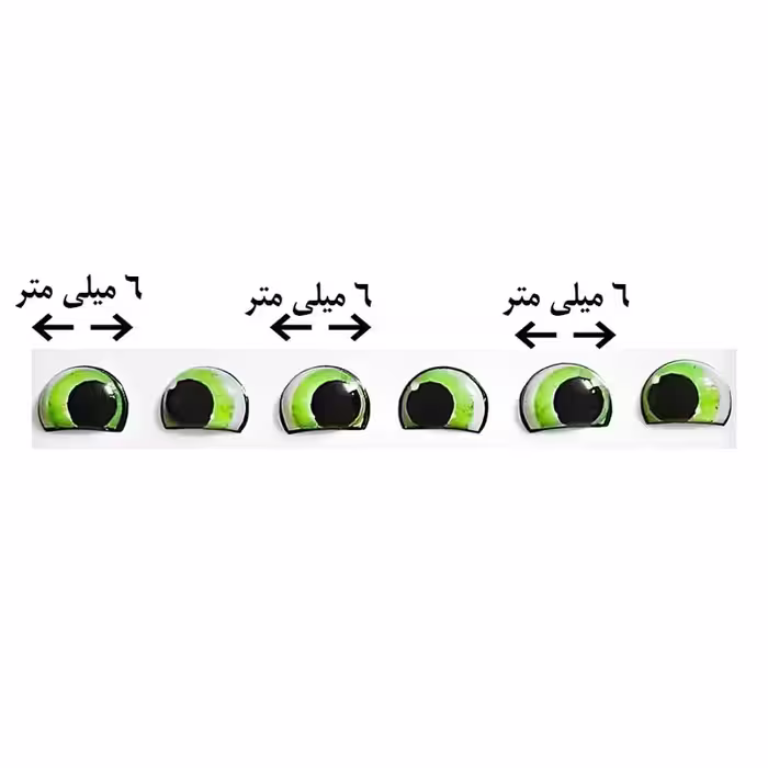 چشم عروسک مدل رزینی 6 کد 9 مجموعه 60 عددی