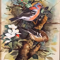 تابلو نقاشی رنگ روغن مدل پرندگان بهاری